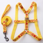 Pet Collars & Leashes