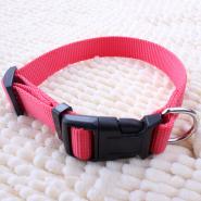 Pet Collars & Leashes