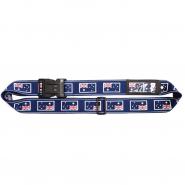 Luggage Belts