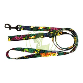 Custom Design Pet Leads Personalized Printed Logo Polyester Material Wholesale Sublimation Dog Leash with Metal Hook
