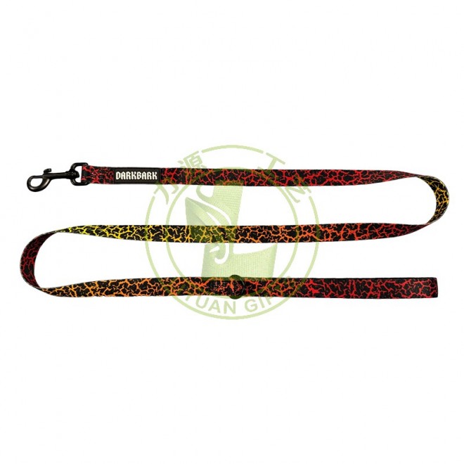Fashional Custom Printing Style Polyester Dog Collar Leash with Ribbons Eco-Friendly for Daily Walking