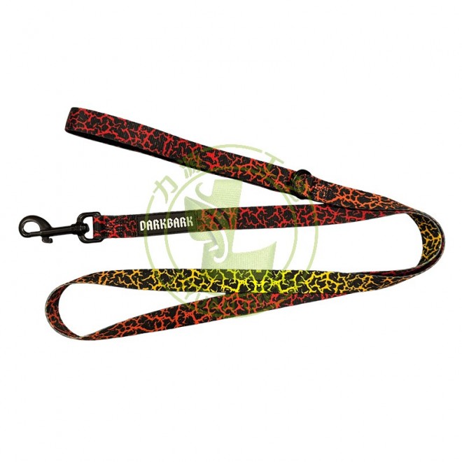 Fashional Custom Printing Style Polyester Dog Collar Leash with Ribbons Eco-Friendly for Daily Walking