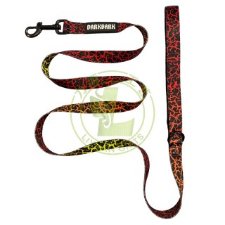 Fashional Custom Printing Style Polyester Dog Collar Leash with Ribbons Eco-Friendly for Daily Walking