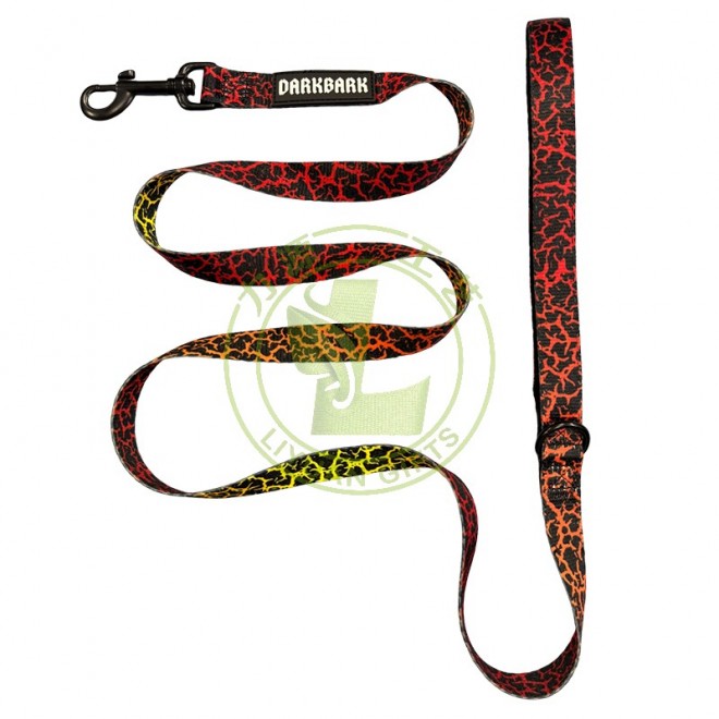 Fashional Custom Printing Style Polyester Dog Collar Leash with Ribbons Eco-Friendly for Daily Walking