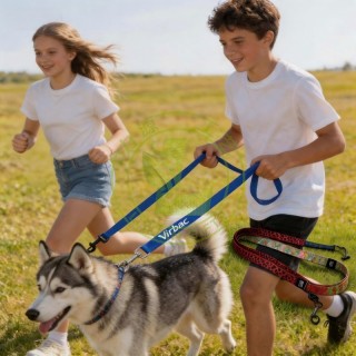Hot Selling Promotional Dog Leash Custom Unique Style Dog Rope Leads Durable Print Polyester Pet Lead Leashes with logo