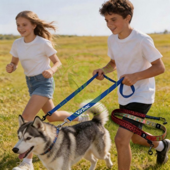 Hot Selling Promotional Dog Leash Custom Unique Style Dog Rope Leads Durable Print Polyester Pet Lead Leashes with logo