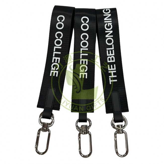 High Quality Multi-color Brand Customized Outdoor Short Lanyard Carabiner Car Keychain