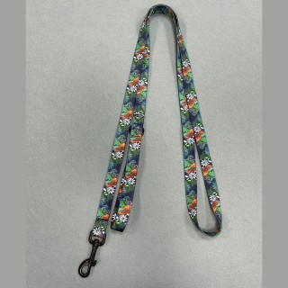 Patterned Dog Leash Ready Stock Polyester Webbing Soft and Durable Pet Walking Rope 120cm Length Multiple Widths Supply