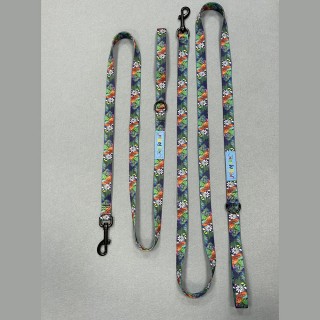 Patterned Dog Leash Ready Stock Polyester Webbing Soft and Durable Pet Walking Rope 120cm Length Multiple Widths Supply